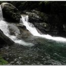 한신체육관 이미지