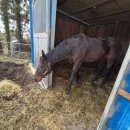 유인목장 이미지