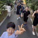 청기와체육교실태권도장 | [성복동 어린이 태권도] 효자태권도장 초등 저학년 수업 후기, 운동 싫어하던 아이가 땀 흘리는 재미를...