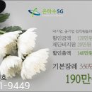 늘푸른장례식장