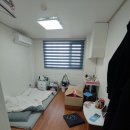 남현동-50 네이버블로그