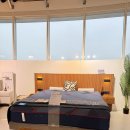 견달산로 | 씰리침대매트리스 후기 모음, 허리 안좋은 사람 추천