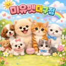 도그애견샵 | 김천애견샵 후기｜강아지 분양 직접 비교해보고 선택한 믿을 수 있는 곳