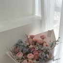 아벨리스 플라워