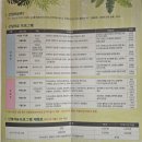 백계로 | 광양 백운산 치유의숲 산림치유프로그램체험-예약방법 및 체험 후기