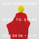 우고 론디노네: BURN TO SHINE 이미지