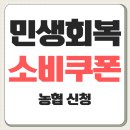 NH태백농협장성지점 | 2025 농협 민생지원금 신청방법 잔액 총정리