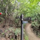 증산-004 티스토리