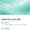 (단기)드론전문가(드론입문) | 카메라 드론 완벽 가이드: 전문가가 알려주는 선택과 활용법