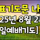 2025년 8월 2주 대표기도문 이미지