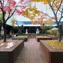 강남대로107길 24 이미지