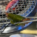 뒷고기한우 이미지