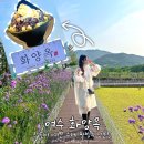 여수 화양면 화양옥 카페 수제 팥빙수 맛집 뷰 좋은 곳
