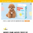 보솜 이미지