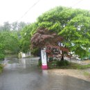 그린팜영농조합법인 이미지