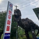 다한우 이미지