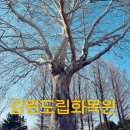 강원도립화목원 | 강원도립화목원 춘천 겨울여행지 관람 정보 및 휴관일 총정리