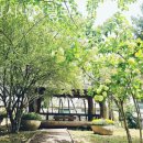 선양시니어빌리지 | 부산 기장군 장안읍 길천리 요양원 선양시니어빌리지 후기