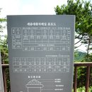 태가 이미지