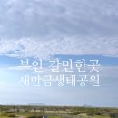 [초1~2] 생태환경 책놀이 | 전라도 여행 부안 아이랑 부안 가볼만한곳 새만금환경생태단지
