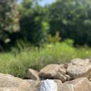 태란 펜션 이미지