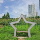 공원 이미지