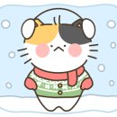 지민81 이미지