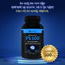 징코라이프(주) | [공지] 포스파티딜세린 PS 징코 빌로바 효능, 효과, 섭취방법 tip.