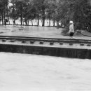 포항중학교 이미지