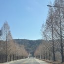 [안성 할머니네] 촌캉스 2탄 _ 촌캉스 펜션 안성 할머니네 텃밭 바베큐 후기, 중앙시장, 홍게짬뽕
