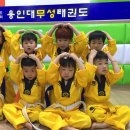 무성 태권도장 이미지