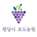 소루지양식장셀프장