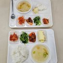 꽃다울(방동)농촌체험휴양마을 | 2025 임실군 귀농체험(현장실습) 학교 둘째 날...꽃다울 방동마을, 애플망고하우스, 애플트리...