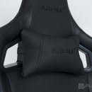 ARENA PC 이미지