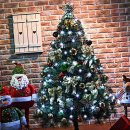 트리트리 이미지