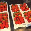 선영이네 이미지