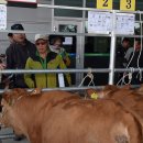 한우전자 이미지