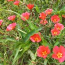 삼헌식당 이미지