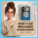 베블런 | 아이폰 17 프로 케이스티파이 케이스 왜 비싼데 잘 팔릴까 사용후기와 경제학적 분석