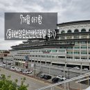 망상컨벤션센터 | 7개월 아기랑 동해보양온천컨벤션호텔 숙박 찐후기(수영장, 온천 정보)
