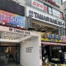 수원역 미용실/ 타마시헤어에서 웨딩촬영 전 염색했어요