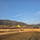 남해-26 | 남해 아난티 CC 라운드 후기 *2월말 잔디, 날씨