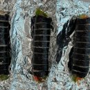 소림김밥