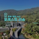 제천리솜포레스트 해브나인스파 평일에 이용한 후기 충북여행코스