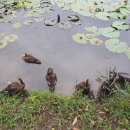 여흥민씨부조묘 | 부여 여흥민씨고택 2박3일살아보기 _ 첫 날