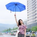 화려한 날의 오후 이미지