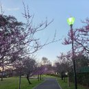 주립한의원 | [호주 워홀] 멜번에서 구직하는 일상, 그리고 세 번째 이사