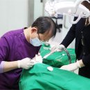 제이원치과기공소 이미지