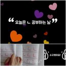 상영초등학교 베리타스알파