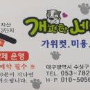 개편한 애견미용 이미지